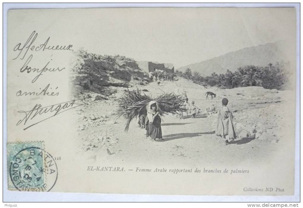 ALGERIE - EL-KANTARA - FEMME ARABE RAPPORTANT DES BRANCHES DE PALMIERS