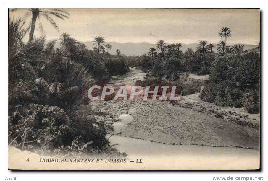 CPA L'Oued el Kantara et L'Oassis