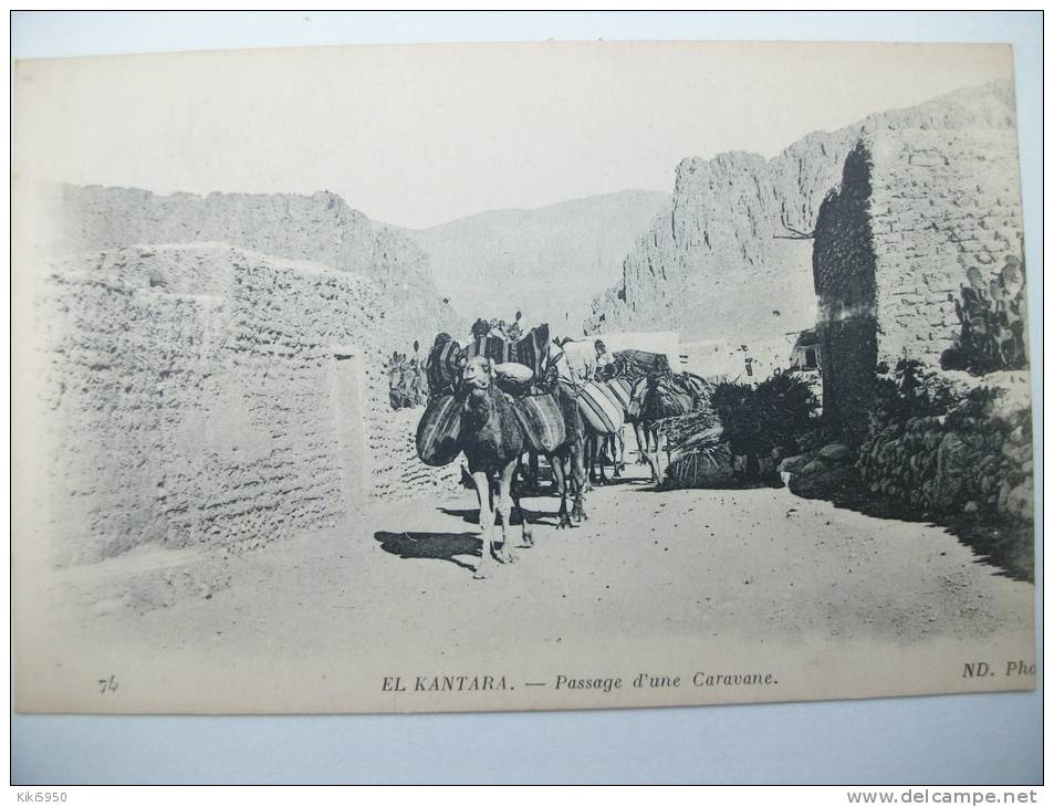 CPA  EL- KANTARA - Passage d'une Caravane