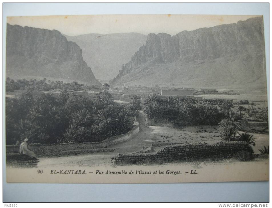 CPA  EL- KANTARA - Vue d'ensemble de l'Oasis et les Gorges