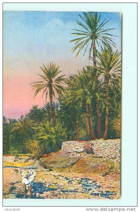 EL KANTARA Dans la rivière