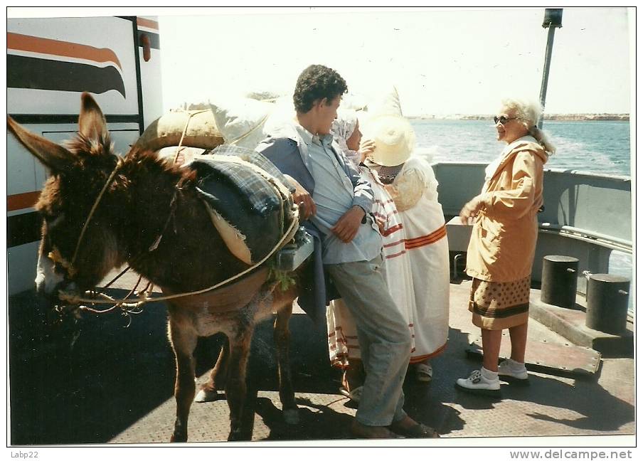 SUR LE BAC EL KANTARA . ANE