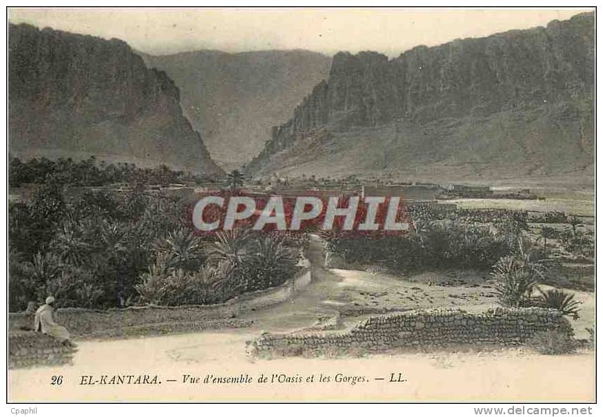 CPA El Kantara Vue d'ensemble de l'Oasis et les Gorges