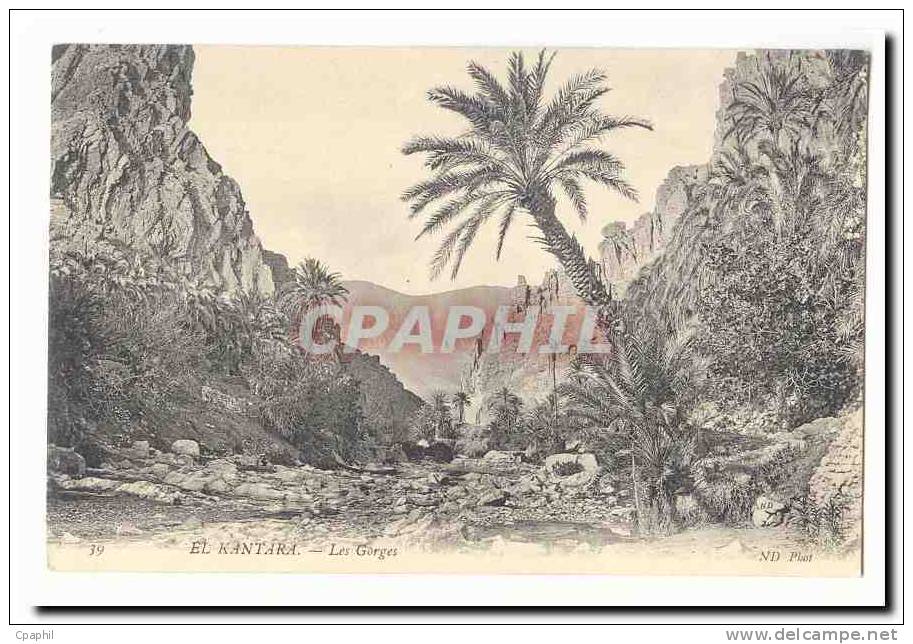 Algerie El Kantara CPA Les gorges
