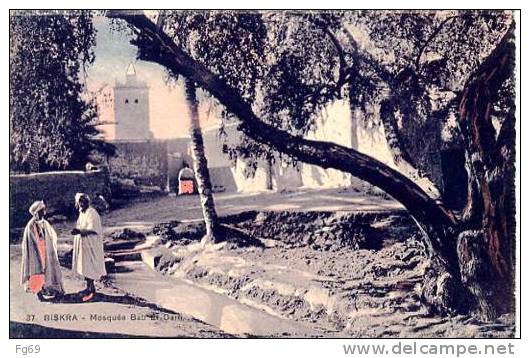 BISKRA _ ALGERIE _ EL- KANTARA _SIDI-OKBA - Un chemin menant à la Mosquée Bab El Darh