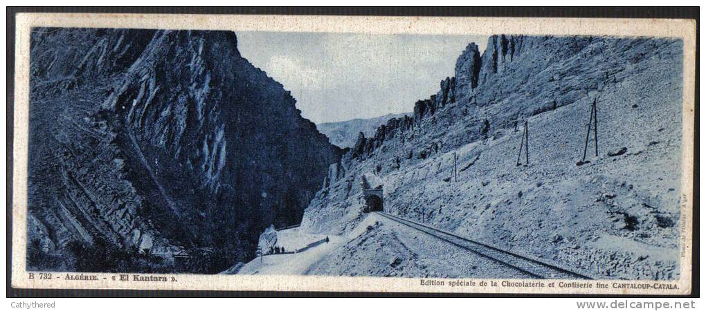 C732 - CARTE PANORAMIQUE CHOCOLAT CANTALOUP CATALA - ALGERIE EL KANTARA