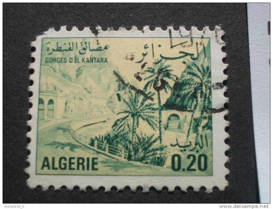 ALGERIE  ( o )  de  1977   