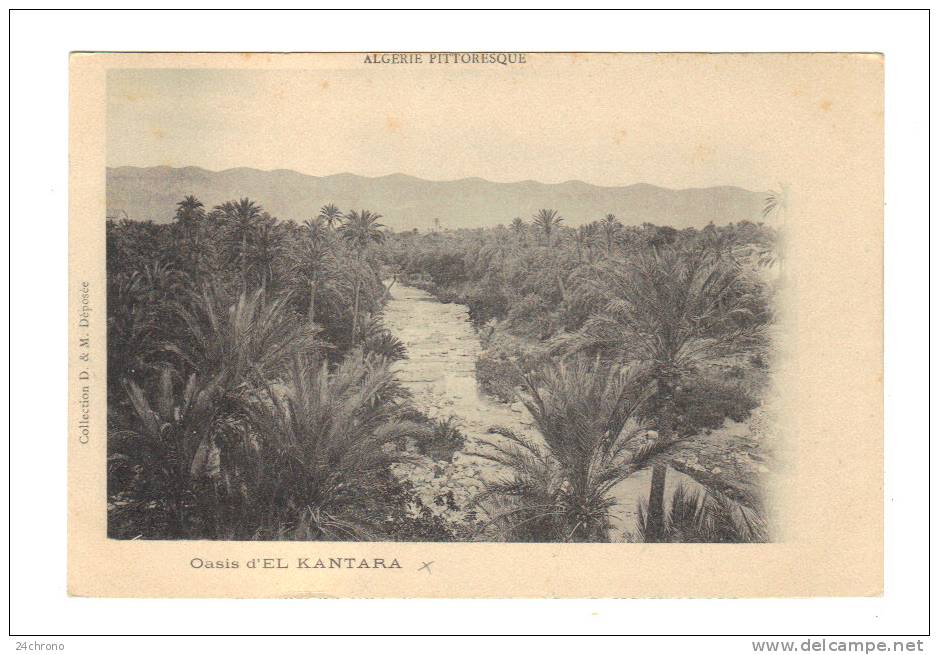 Algerie Pittoresque Oasis d' El Kantara (13-781)