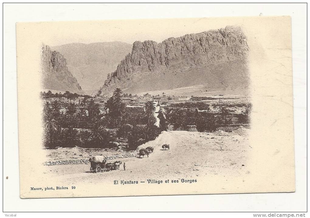cp, Algérie, El Kantara, Village et ses Gorges