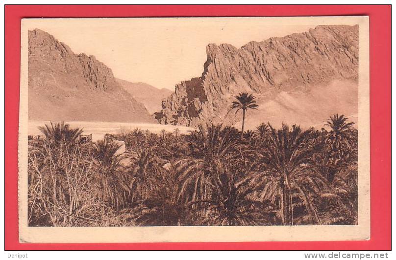 09121) EL KANTARA, La PALMERAIE et les GORGES - Edition Mariua Maure, Biskra