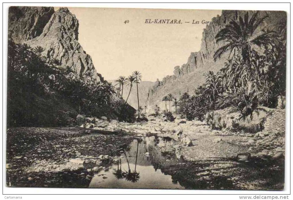 El-Kantara - Les Gorges