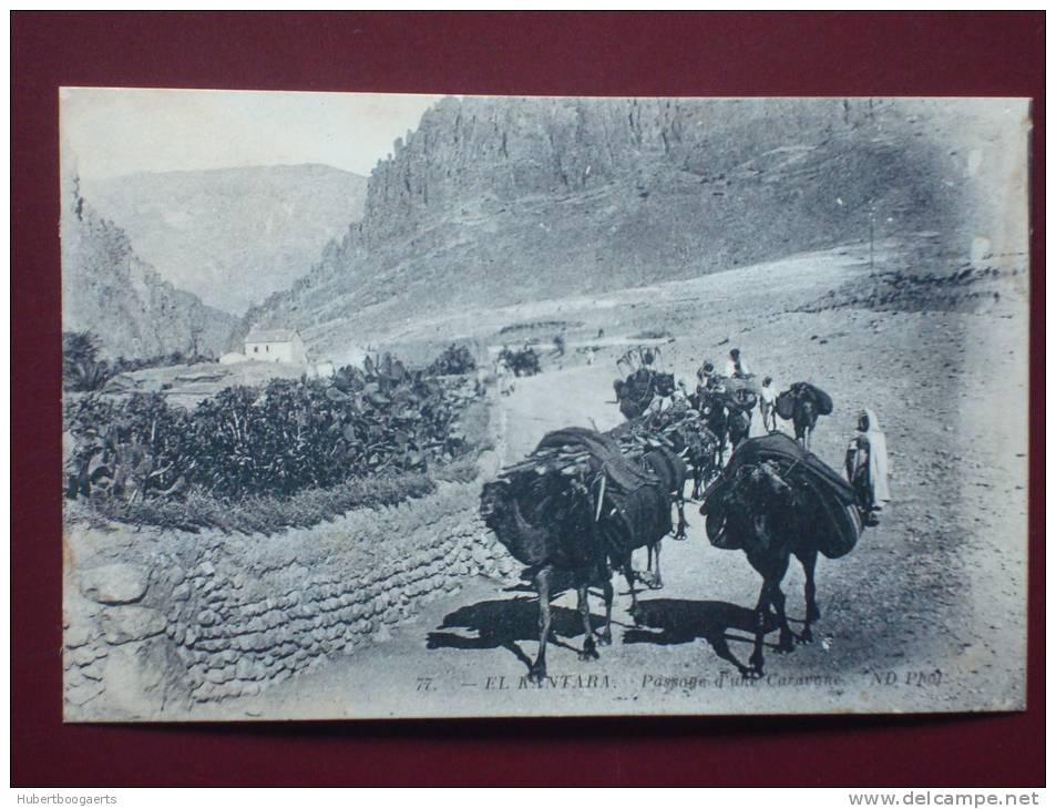 EL KANTARA - Passage d'une caravane
