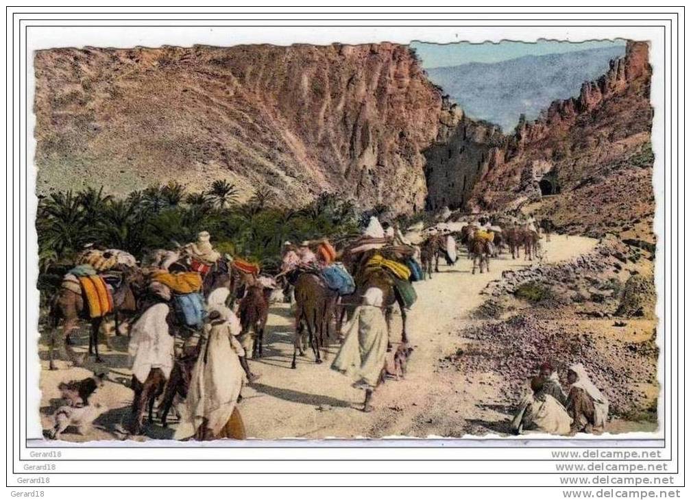 ( algérie ) Dans les gorges d´el Kantara belles animations