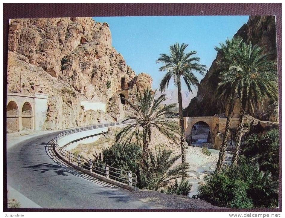LES GORGES D'EL KANTARA / BELLE CARTE PHOTO / S.N.E.D