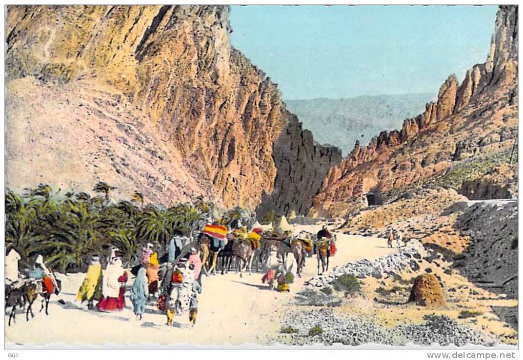 Afrique > Algérie > Scènes & types -Les Gorges d´El Kantara (2) (Biskra) * PRIX FIXE