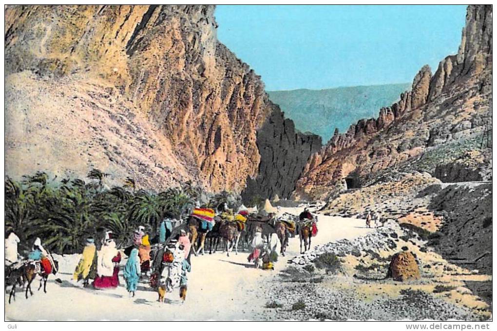 Afrique > Algérie > Scènes & types -Les Gorges d´El Kantara (1) (Biskra) * PRIX FIXE