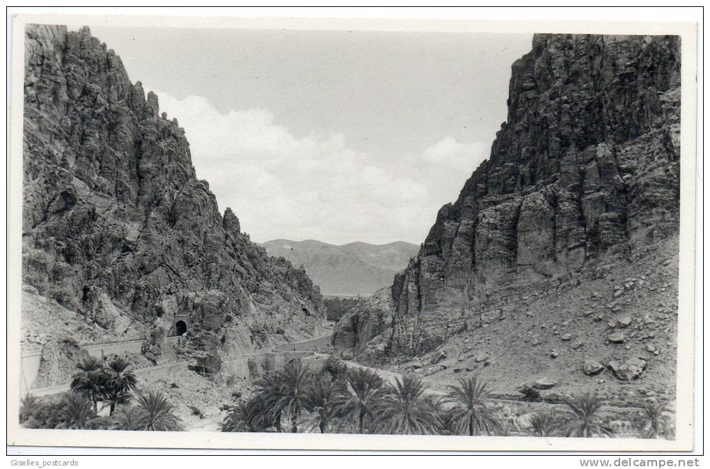 Algeria - Algiers - El Kantara - Gate of the Dessert (Real Photo card)