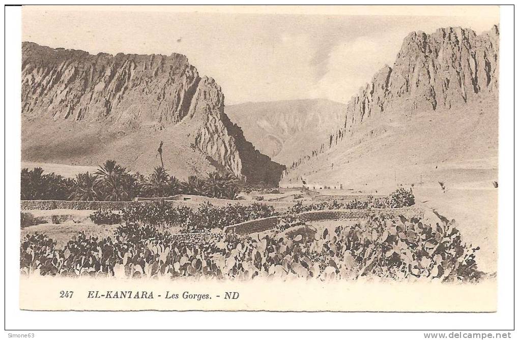 cpa - algerie -- EL  KANTARA -- les  gorges   -