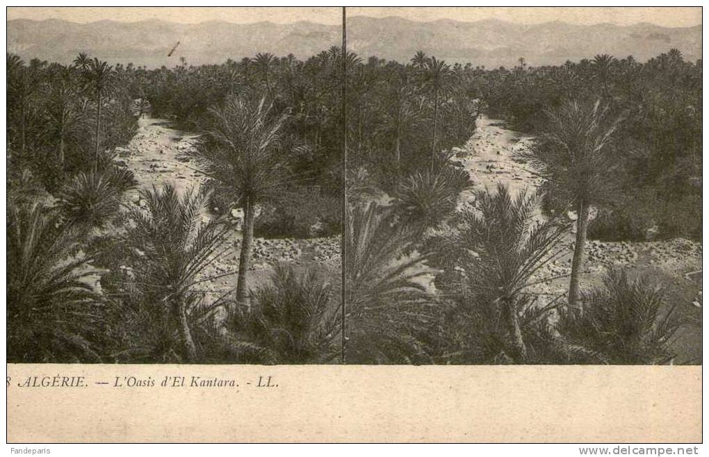 PHOTO STEREOSCOPIQUE  *** ALGERIE  *** L'OASIS D'EL KANTARA