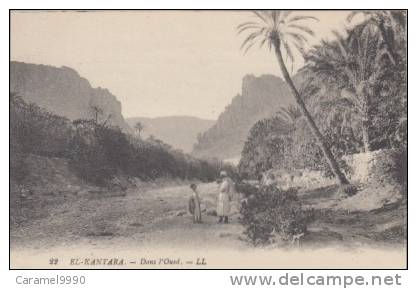 El-Kantara    dans l'Oued          scan 3034
