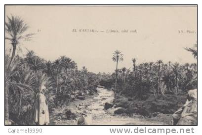 El-Kantara     L'oasis, côté sud           scan 3032