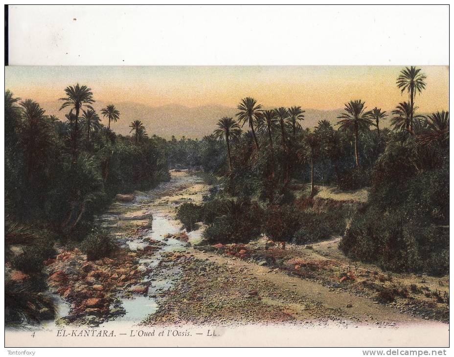 *** ALGERIE - EL-KANTARA - L' Oued et l'Oasis *** CPA Non-Ecrite  Edts LL