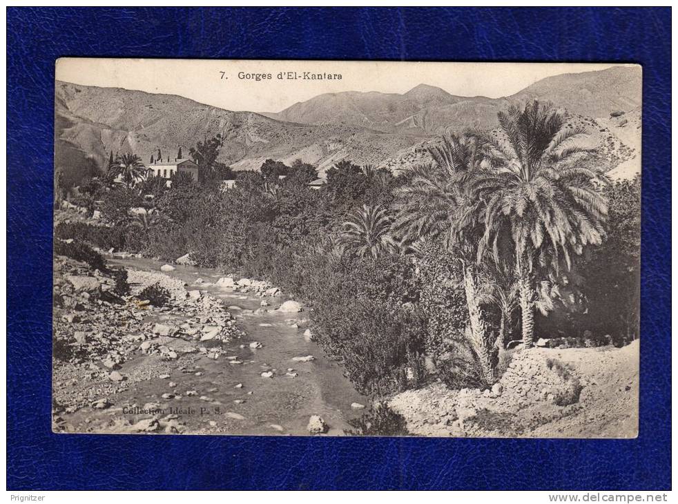 ALGERIE / ALGERIEN   Gorges d' El Kantara