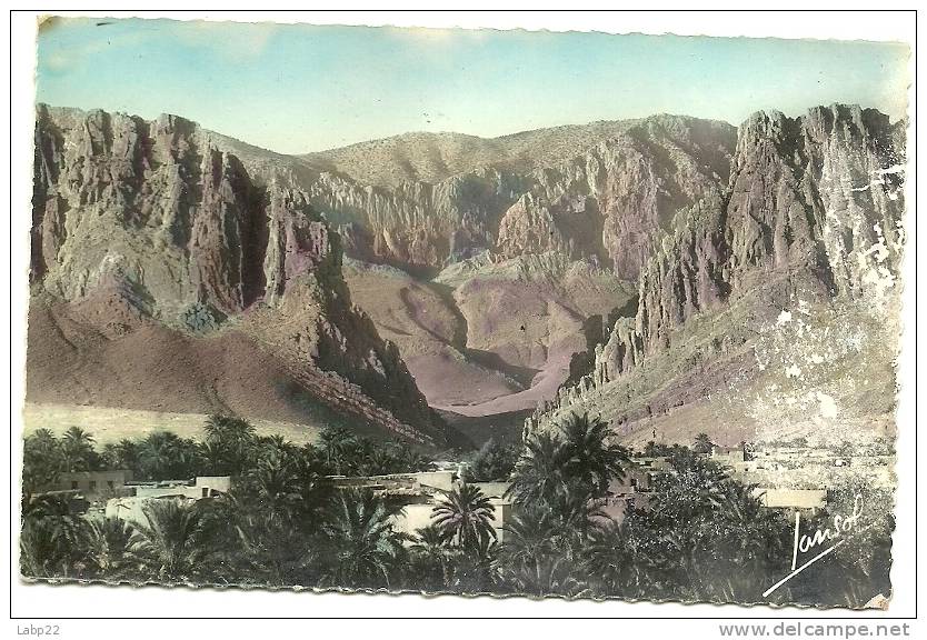 OASIS DANS LES GORGES D EL KANTARA