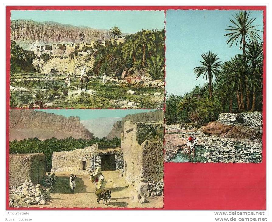 CPA N° 538 / LOT DE 3 CARTES D´ EL KANTARA - VILLAGE + OUED + DOUAR
