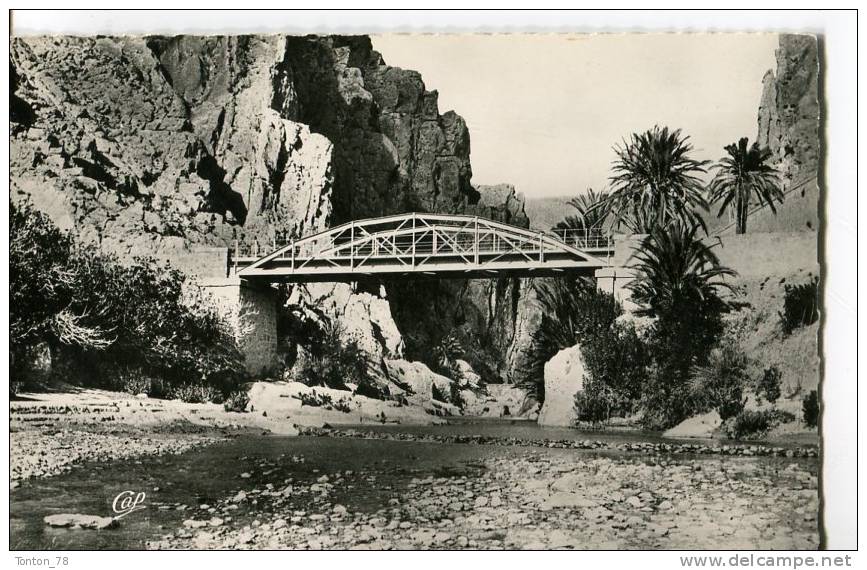 CPSM FORMAT CPA  -   LES GORGES D' EL KANTARA  -  LA PASSERELLE
