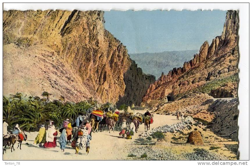 CPSM FORMAT CPA  -   LES GORGES D' EL KANTARA