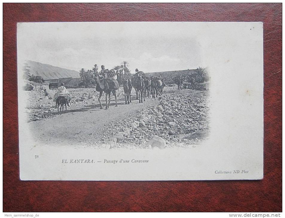 El Kantara Passage d´ une Caravane 1905 Algerie Algerien AK CPA