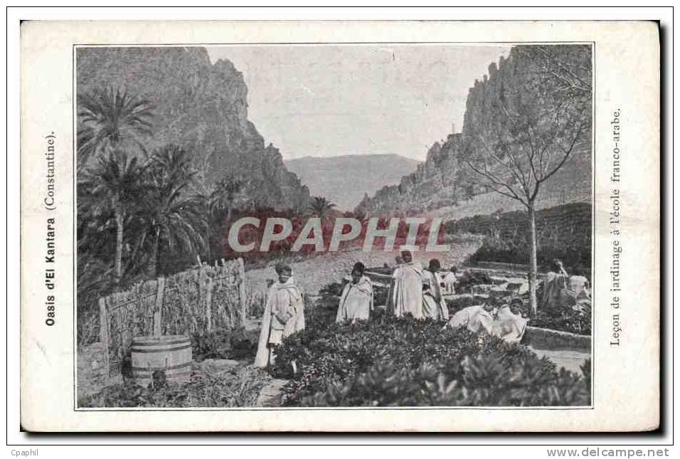 CPA Oasis d eL Kantara Contantine Lecon de jardinage a l ecole f