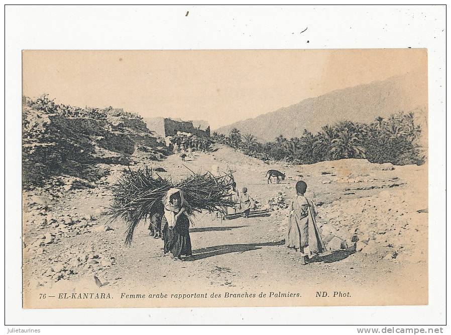 EL KANTARA FEMME ARABE RAPPORTANT DES BRANCHES DE PALMIERS CPA ALGERIE BON ETAT