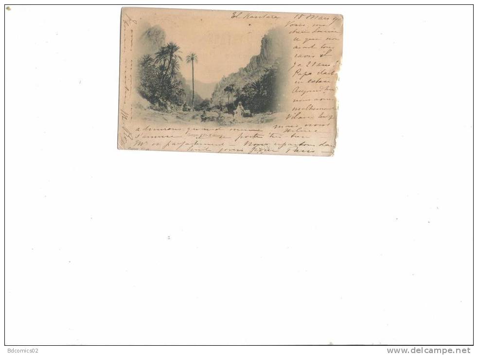 ALGERIE Gorges d'EL Kantara.  Année 1902 - Éditeur / Geiser
