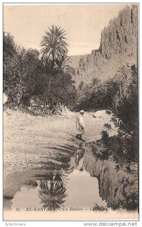 (ALGERIE) EL KANTARA. La riviere