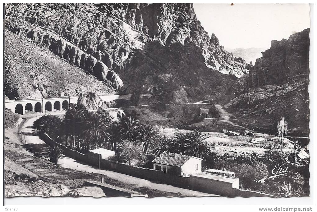 --  EL KANTARA -- COTE NORD ET ROUTE DE BISKRA  -- CARTE PHOTO --1962