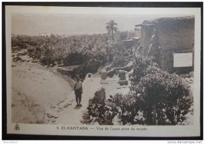 CPA ALGERIE EL KANTARA VUE DE L'OASIS PRISE DU MUSEE ANIMEE