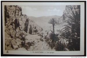 CPA ALGERIE EL KANTARA LES GORGES