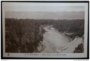 CPA ALGERIE EL KANTARA DANS L'OASIS, VUE PRISE DU MUSEE
