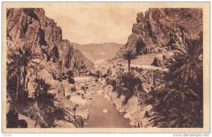 CPA * * EL-KANTARA * * L'Oued et les Gorges
