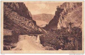 CPA * * EL-KANTARA * * Les Gorges