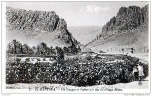 EL-KANTARA  Les Gorges et Palmeraie vue du village Blanc.