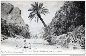 EL-KANTARA Les Gorges d´El-Kantara,vues de la rivière.