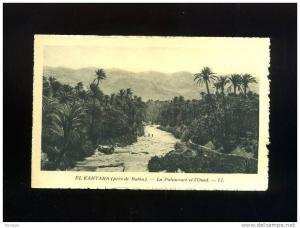 CPA   ALGERIE  EL KANTARA  PRES DE BATNA       LA PALMERAIE             LL