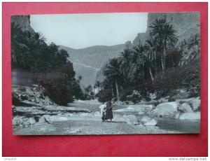 Algérie - Environs de BISKRA - EL KANTARA - La Porte du Désert