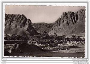 (algérie)  EL-KANTARA -Les Gorges.