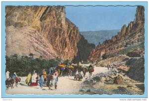 SCENES & TYPES - 8.155 - Edts A.Sirecky - Les Gorges d´El Kantara (voir recto-verso)