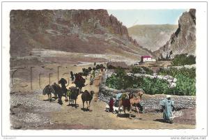 El Kantara ou Kantara (Algérie)  Passage d'une caravane à l'entrée de l'oasis en 1950 (animée).