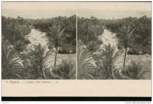 carte stéréoscopique  18  Algérie.  L'Oasis d'El Kantara